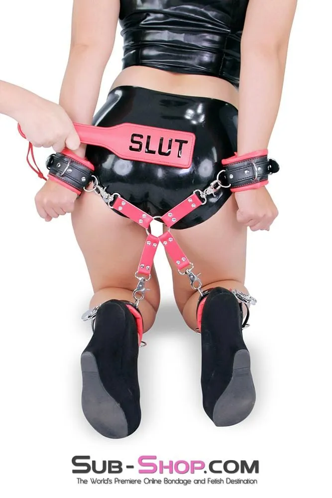 1836LT      SLUT Paddle