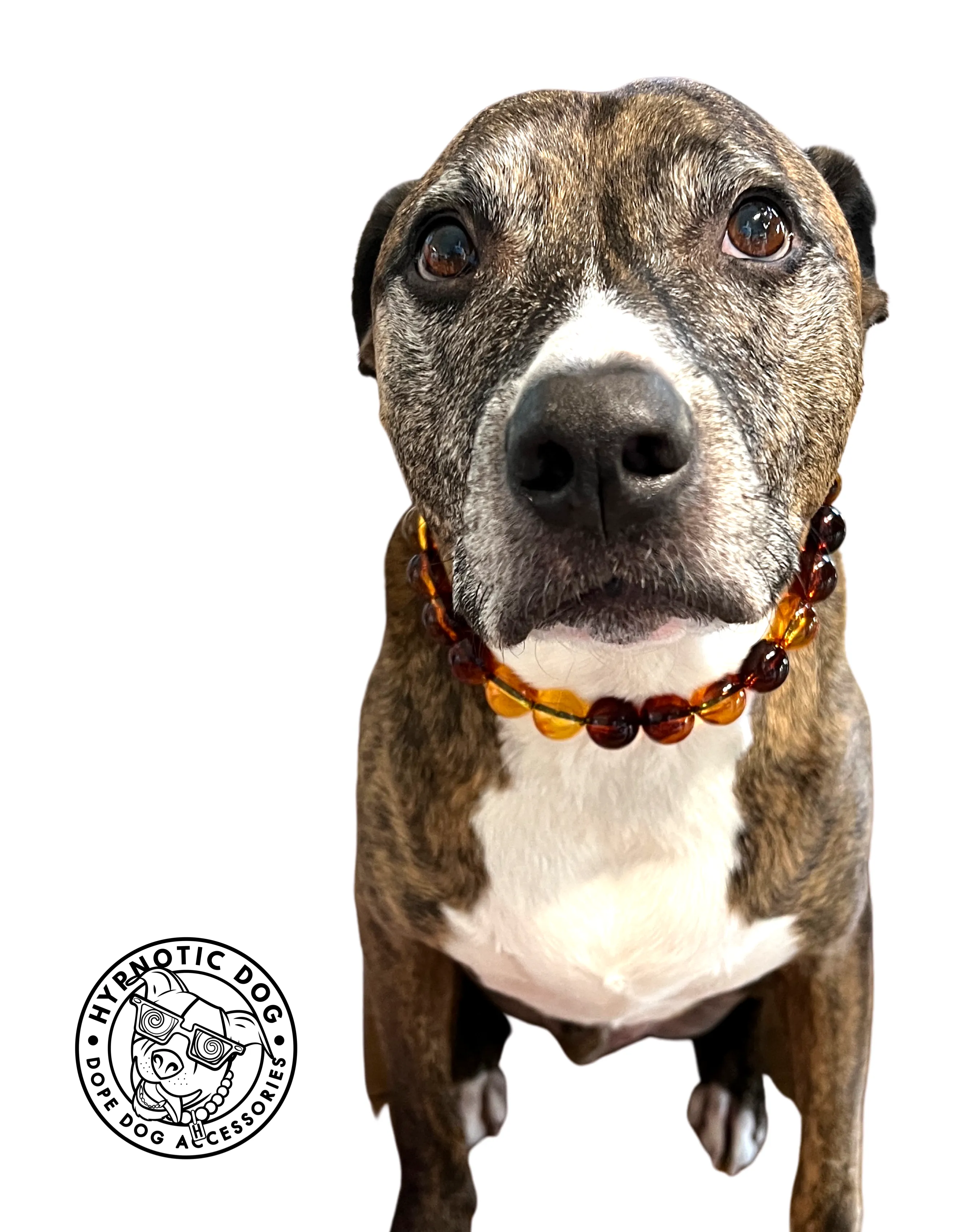 Amber Fire Acrylic Bead Collar