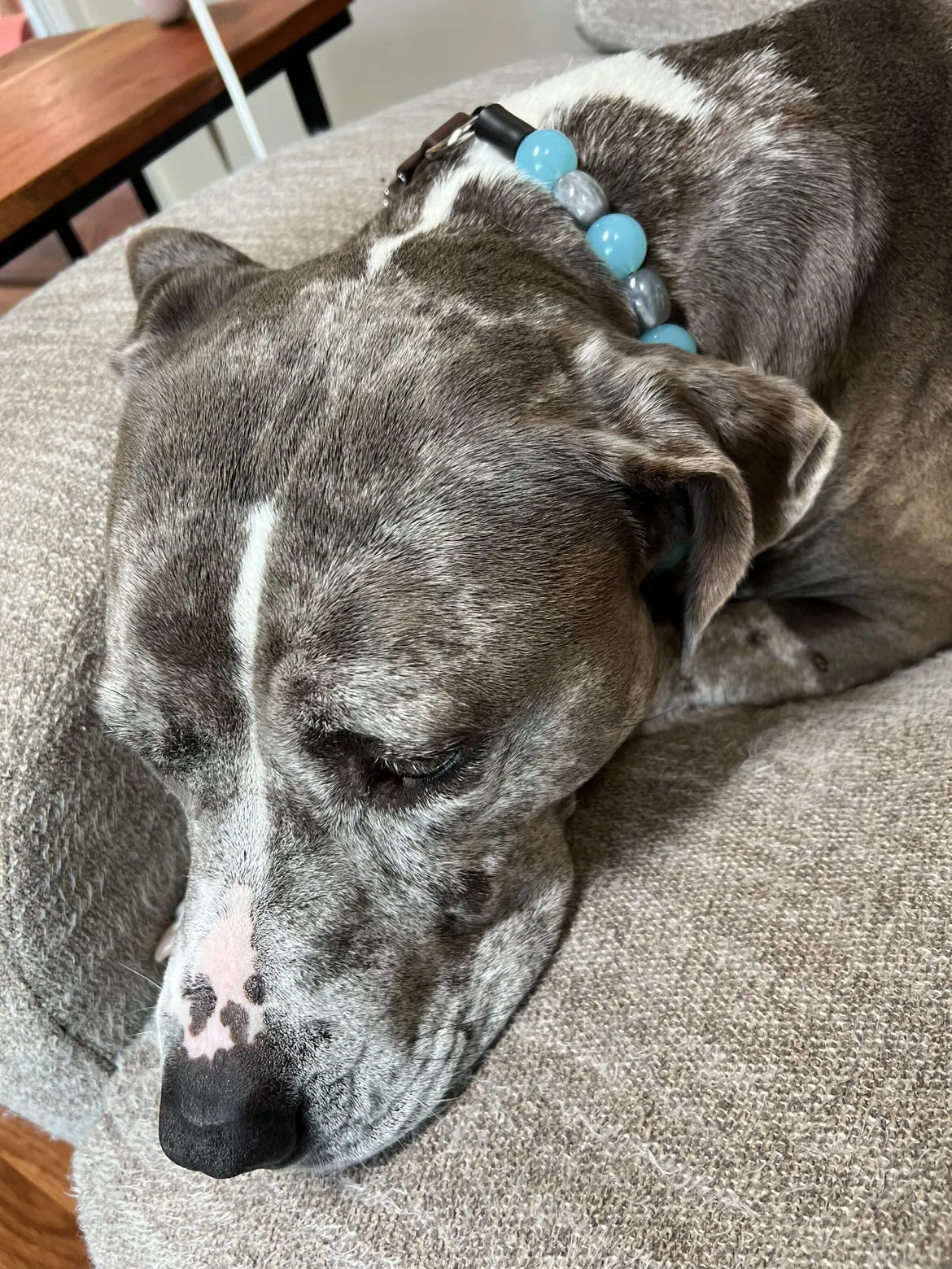 Arctic Sky Bead Collar