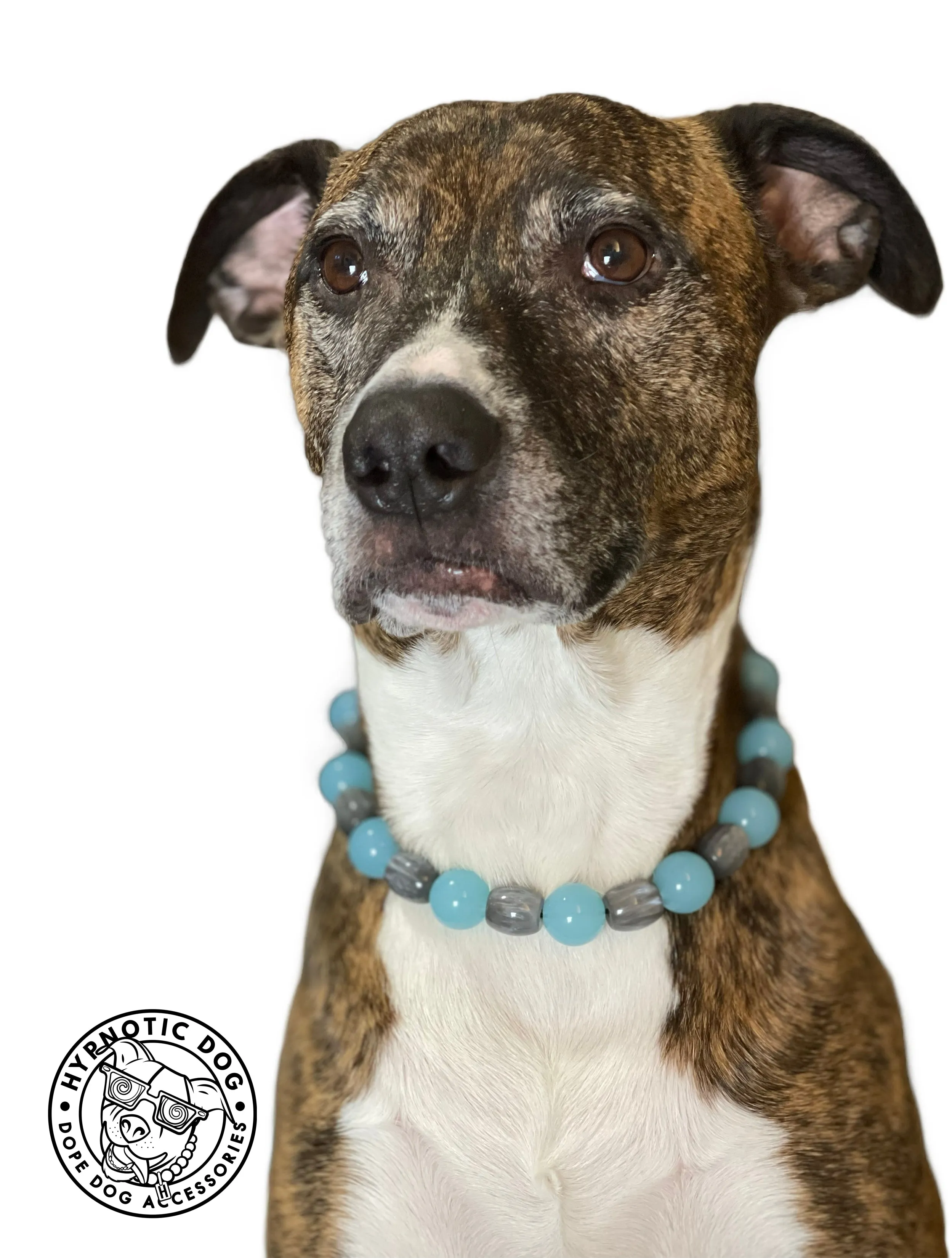 Arctic Sky Bead Collar