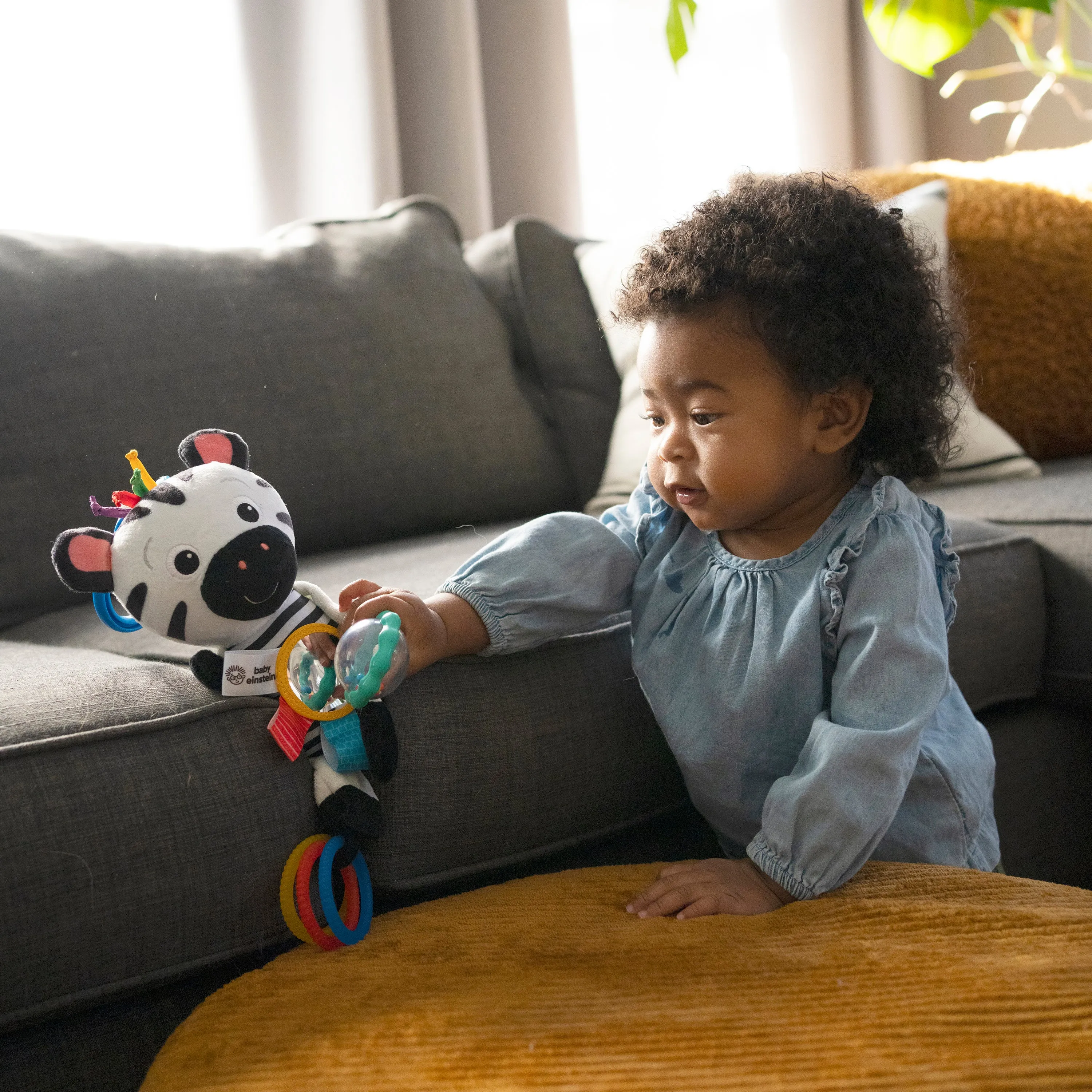 Baby Einstein™  Playful Pal