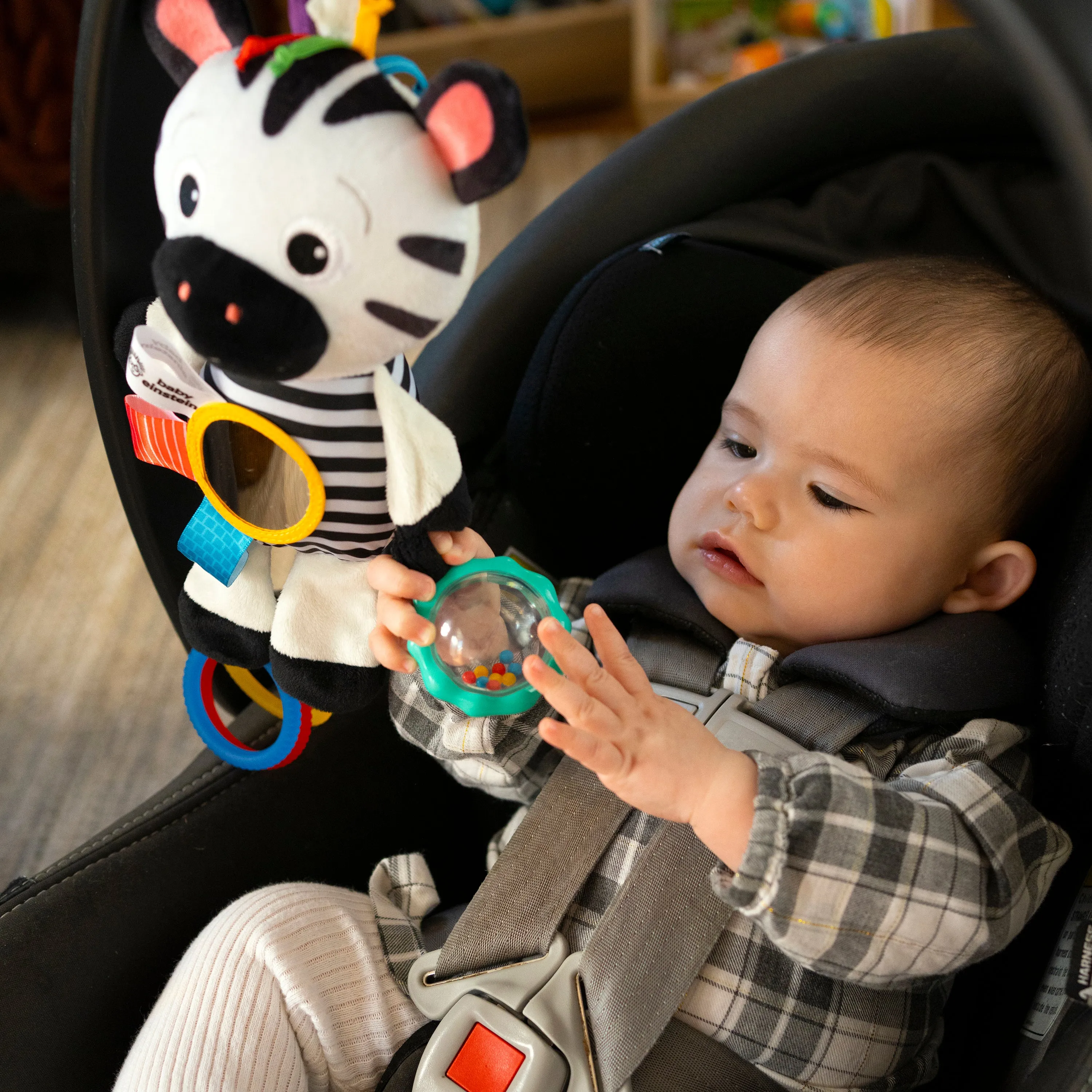 Baby Einstein™  Playful Pal