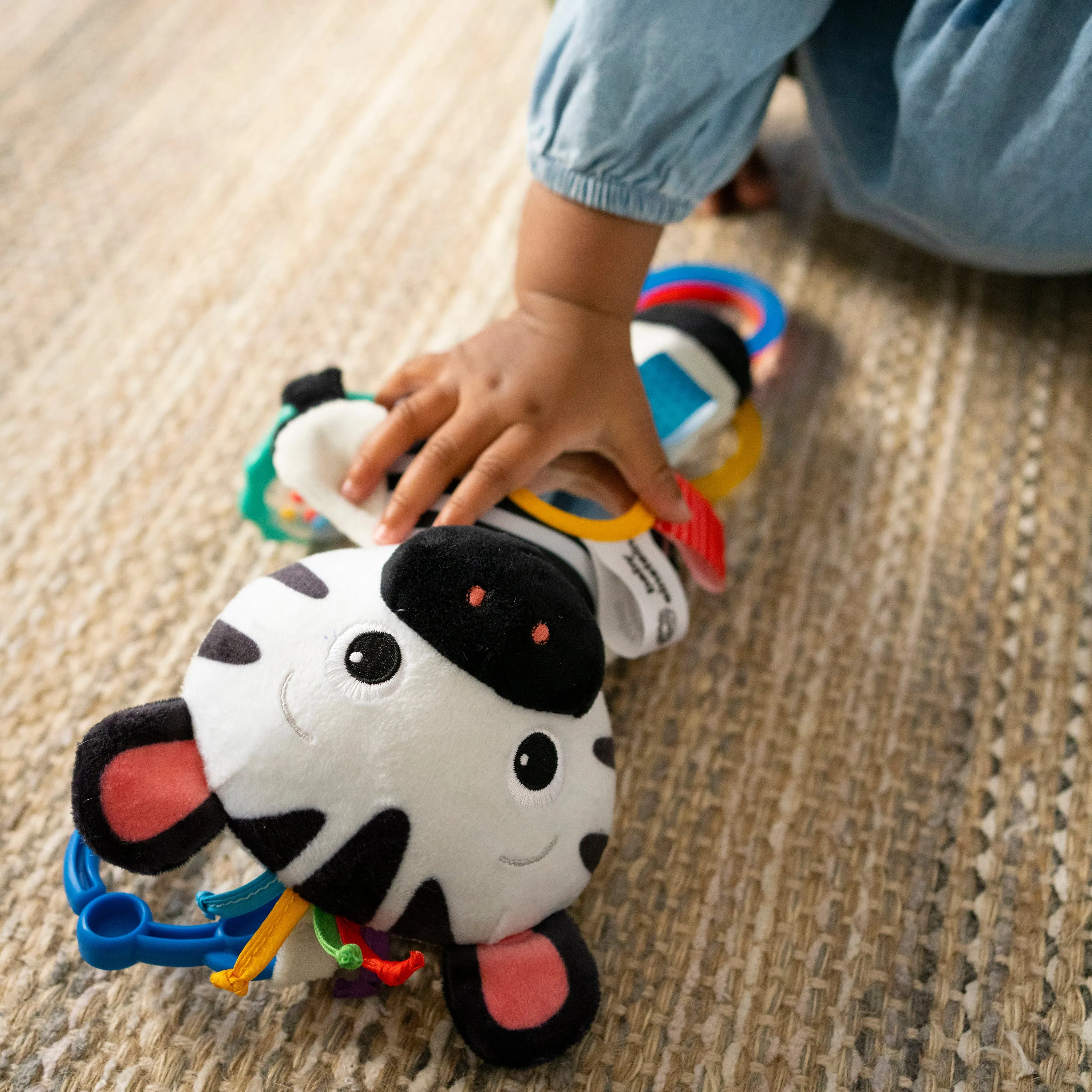 Baby Einstein™  Playful Pal