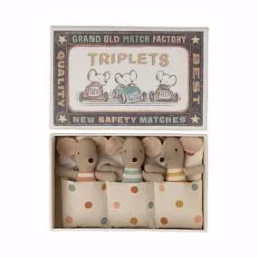 Baby Mice Triplets in Matchbox
