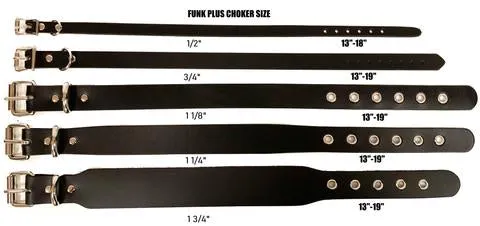Black Leather Collar w/ Single Silver O Ring