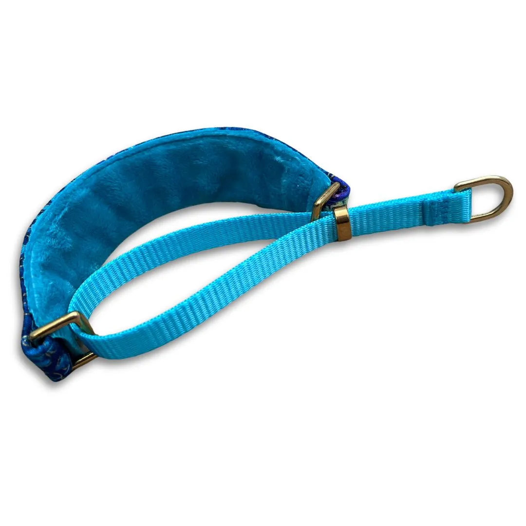 Butterfly Dream Walking Hound Collar  8-11"