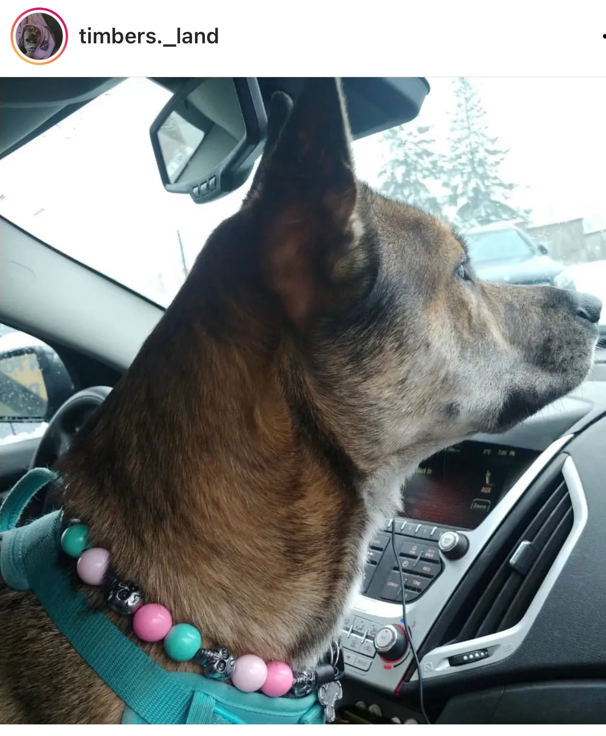 Cotton Candy Skull Bead Collar