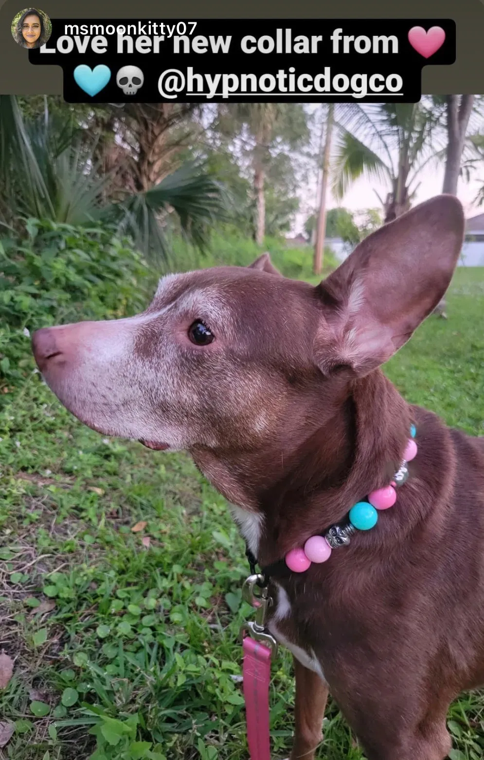 Cotton Candy Skull Bead Collar