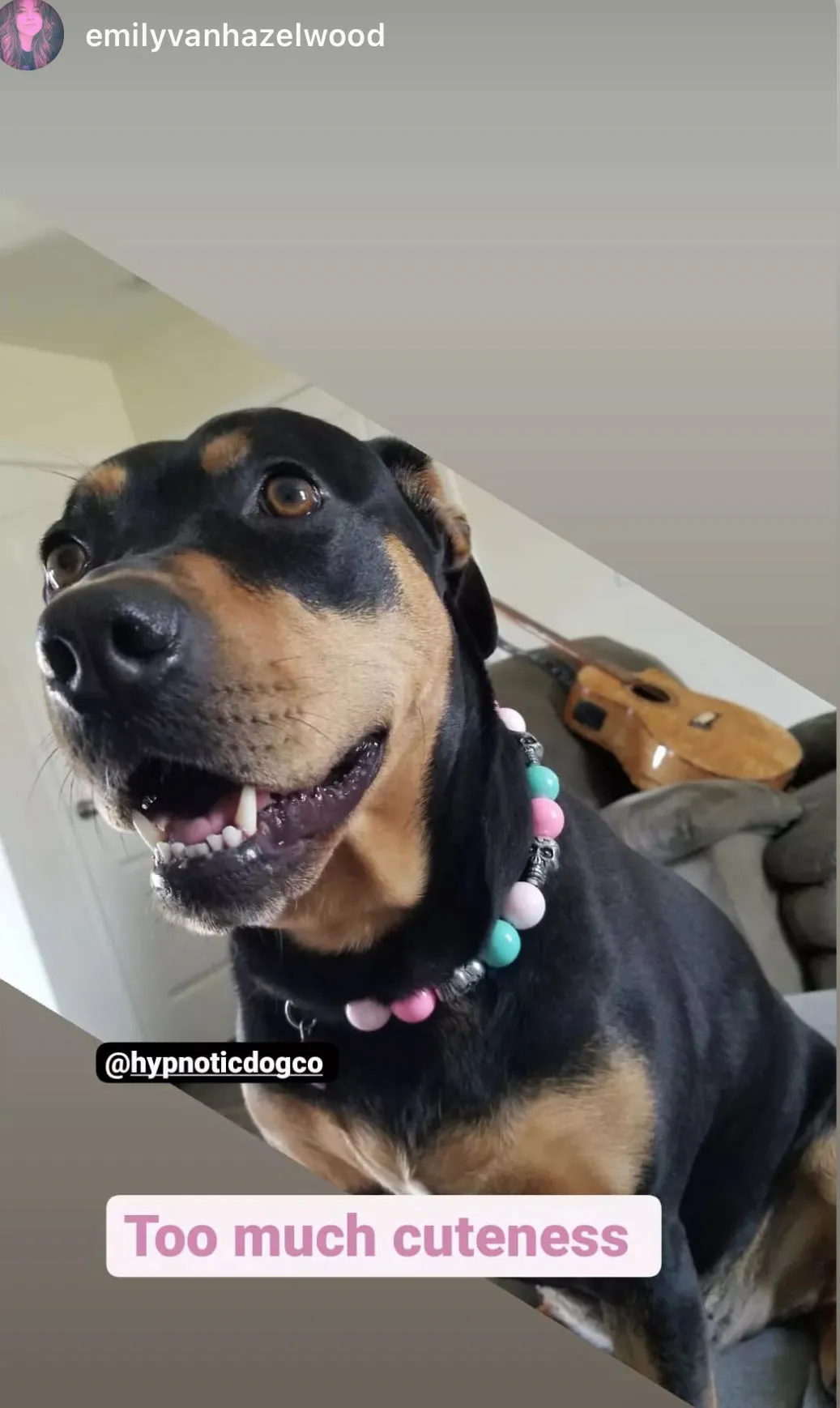 Cotton Candy Skull Bead Collar