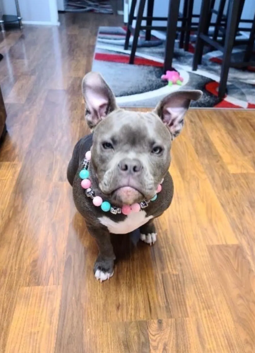 Cotton Candy Skull Bead Collar