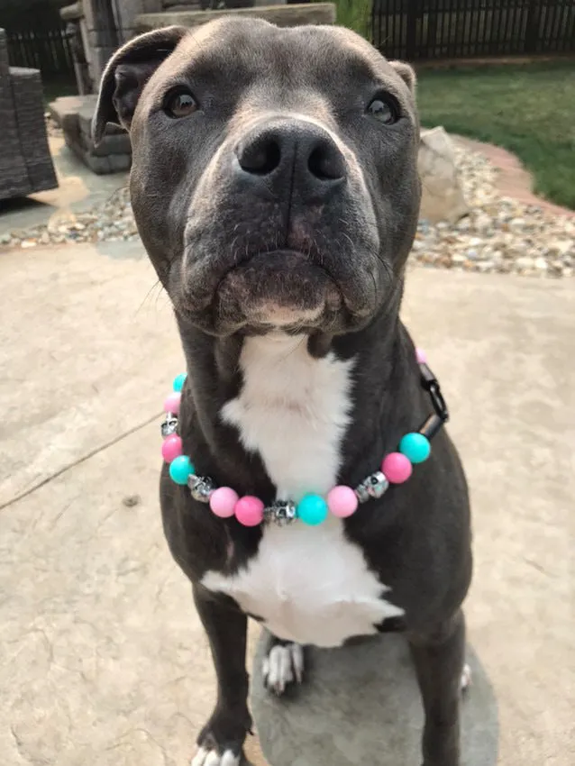 Cotton Candy Skull Bead Collar