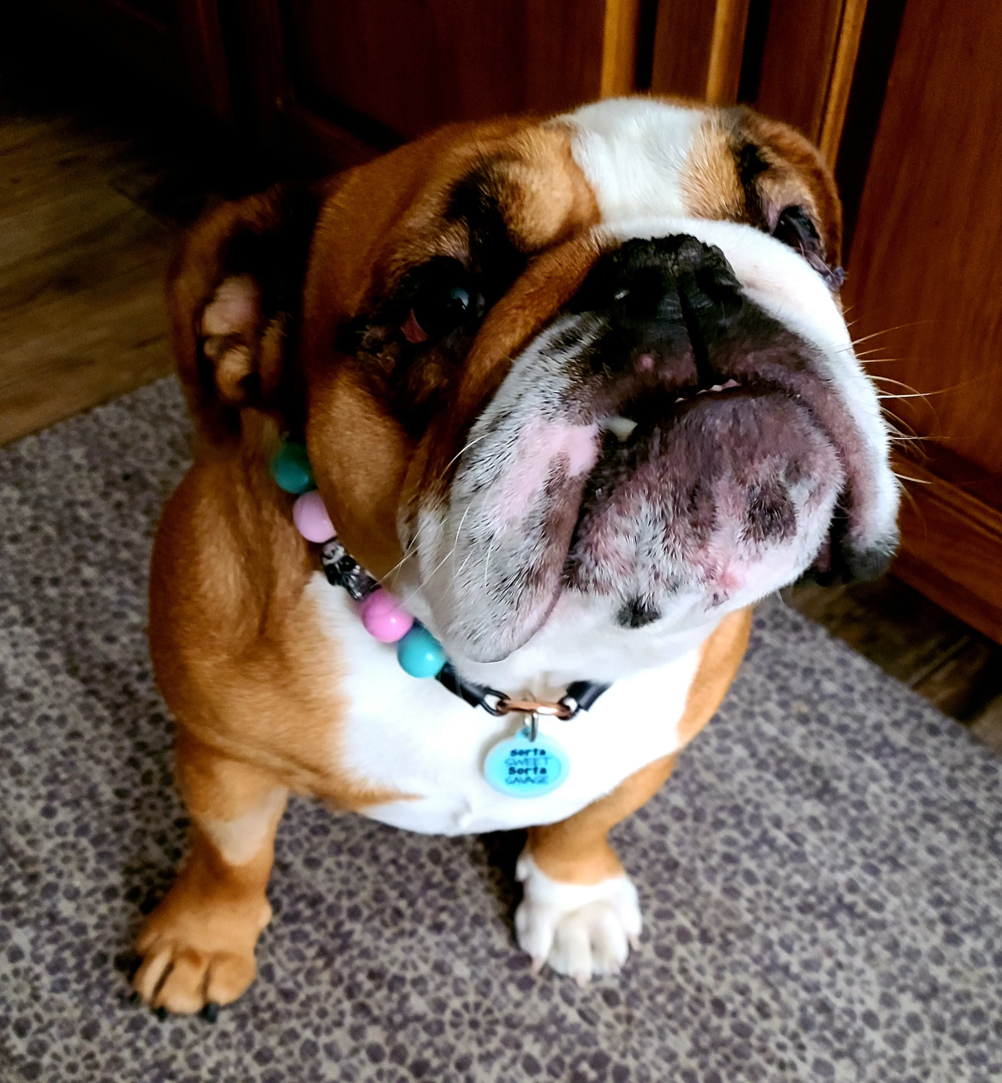 Cotton Candy Skull Bead Collar