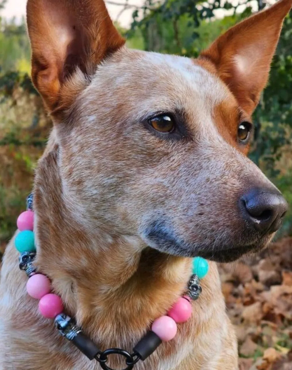 Cotton Candy Skull Bead Collar