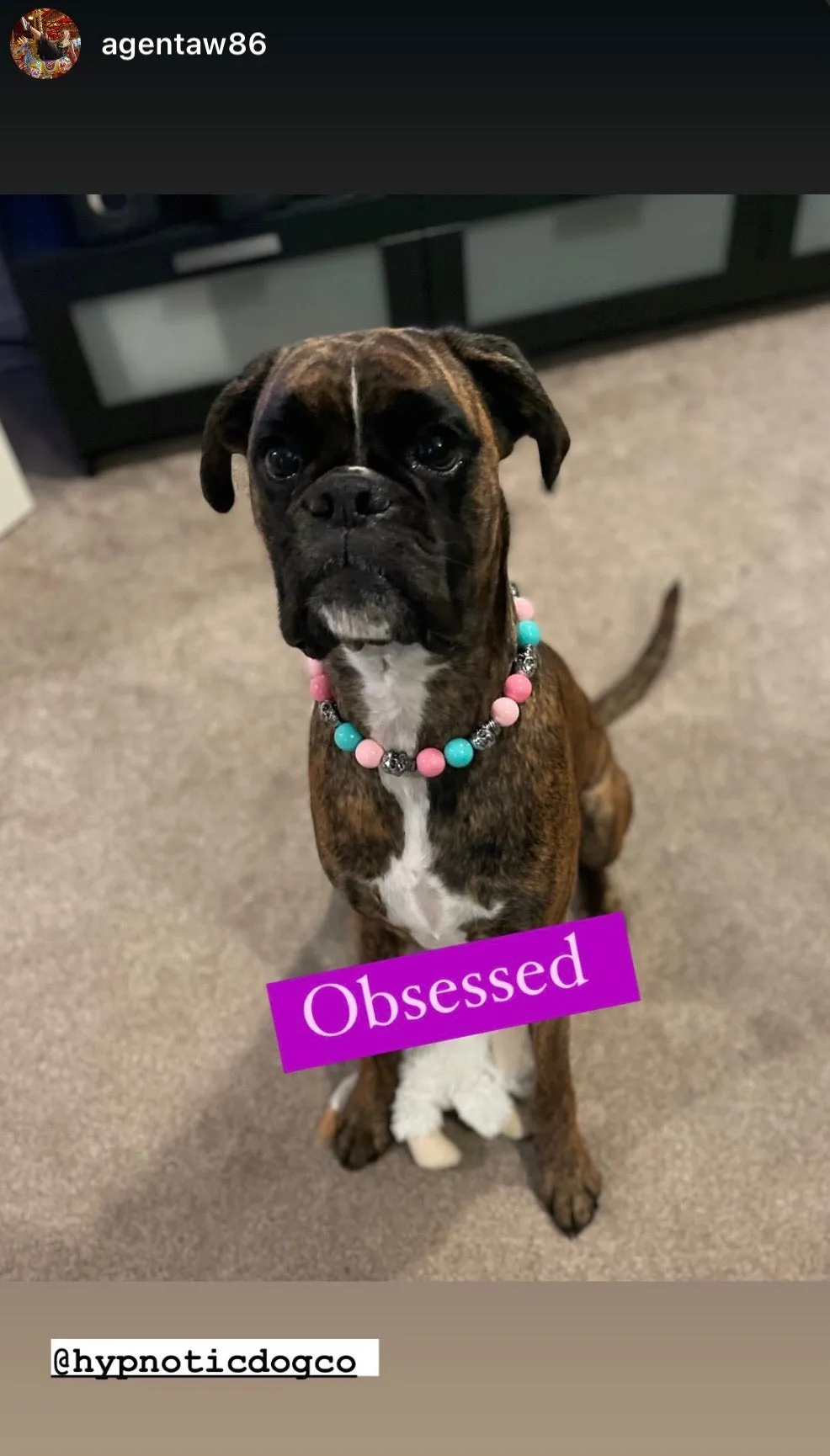 Cotton Candy Skull Bead Collar