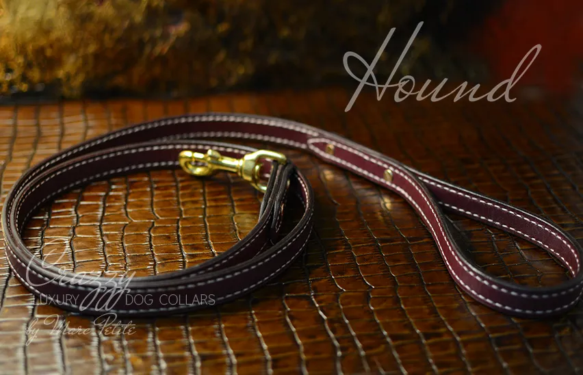 Crazzy Hound Dog Collar and Leash
