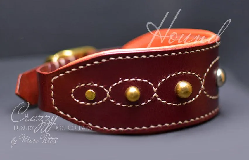 Crazzy Hound Dog Collar and Leash