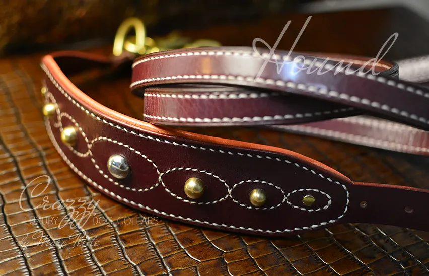 Crazzy Hound Dog Collar and Leash