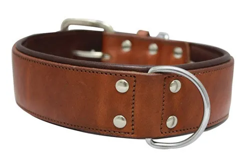Dallas Collars
