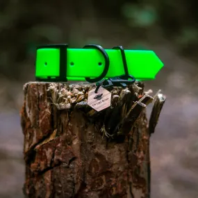 Fluorescent dog collars