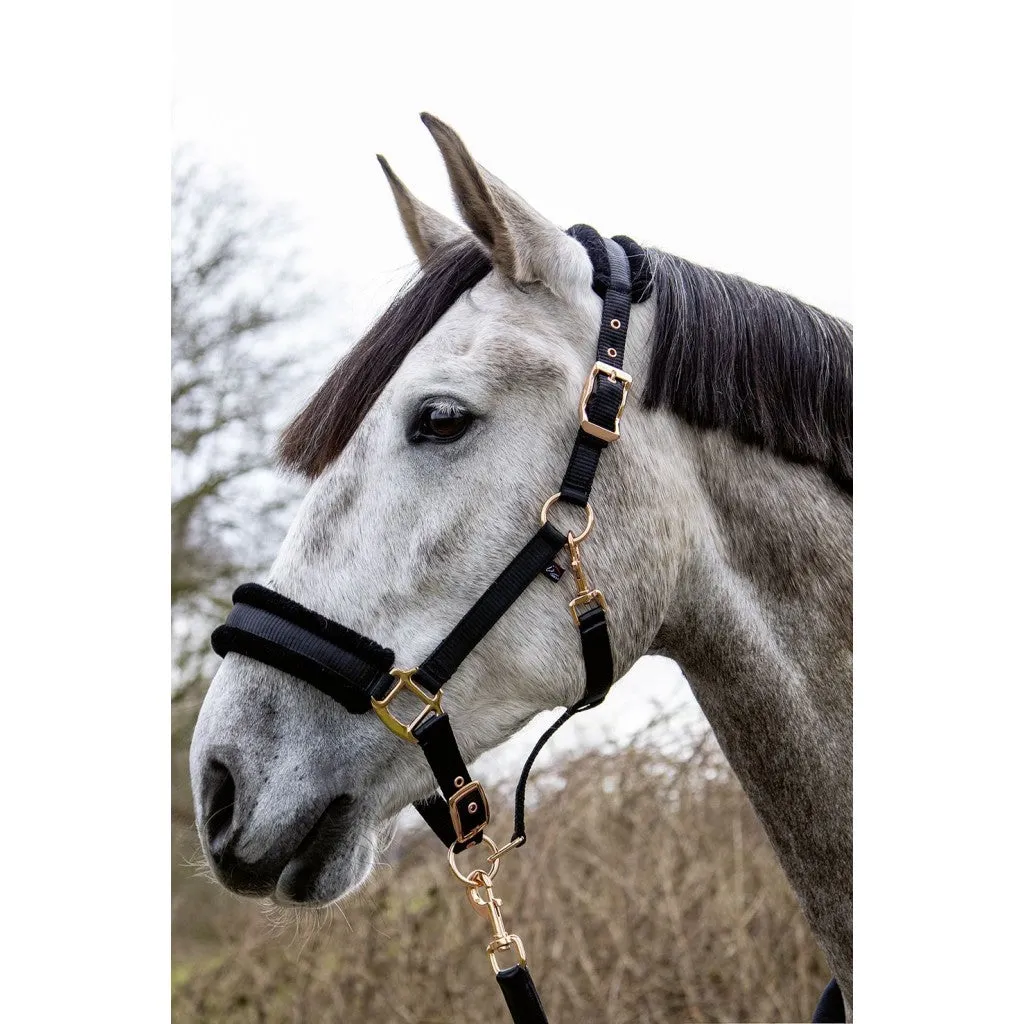 Head Collar Rosegold Glamour Style