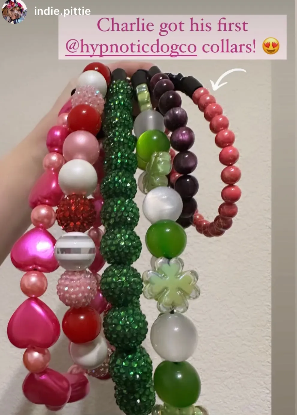Infinity Coral XS Acrylic [Small Dog/Cat Bead Collar]