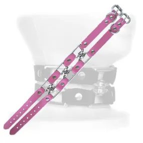 Leather Double Strap Collar