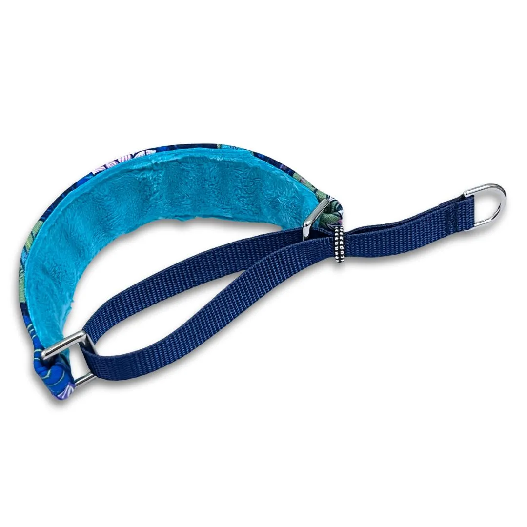 Pond Life Walking Hound Collar  8-11"