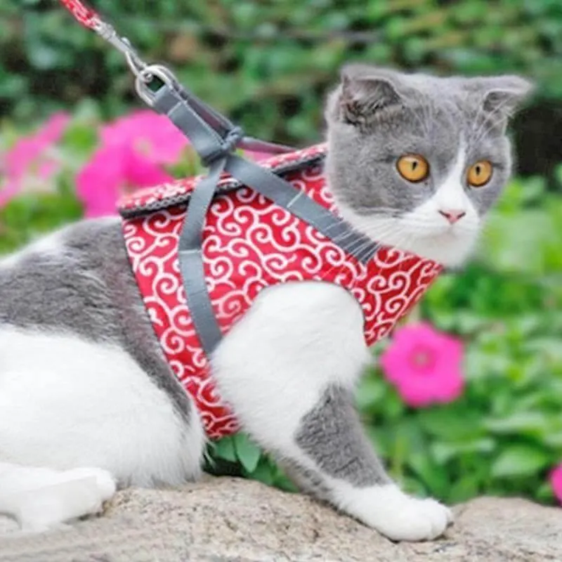 Premium Japanese Style Escape-Proof Best Cat Harness