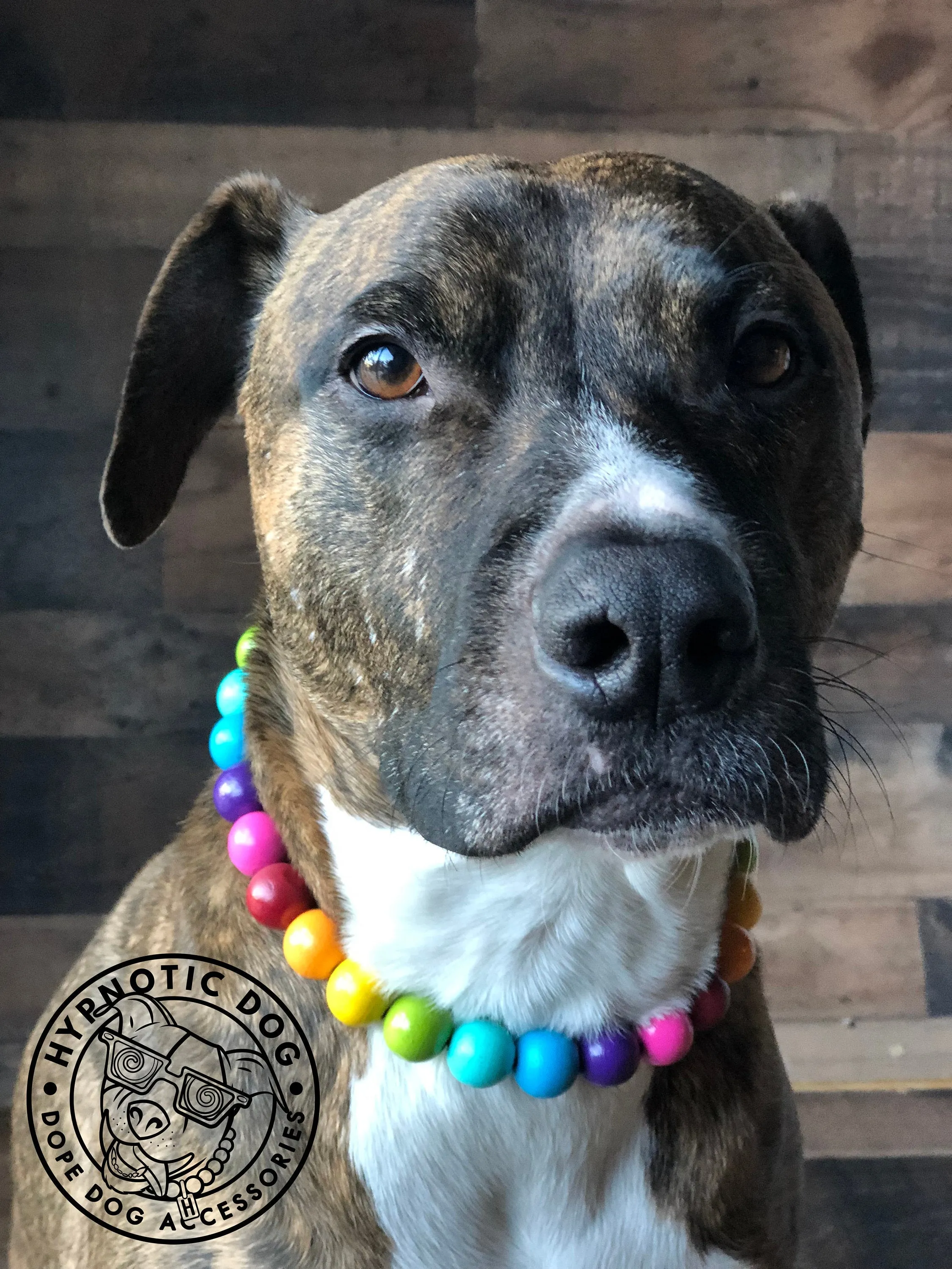 Rainbow 🌈 Acrylic Bead Collar
