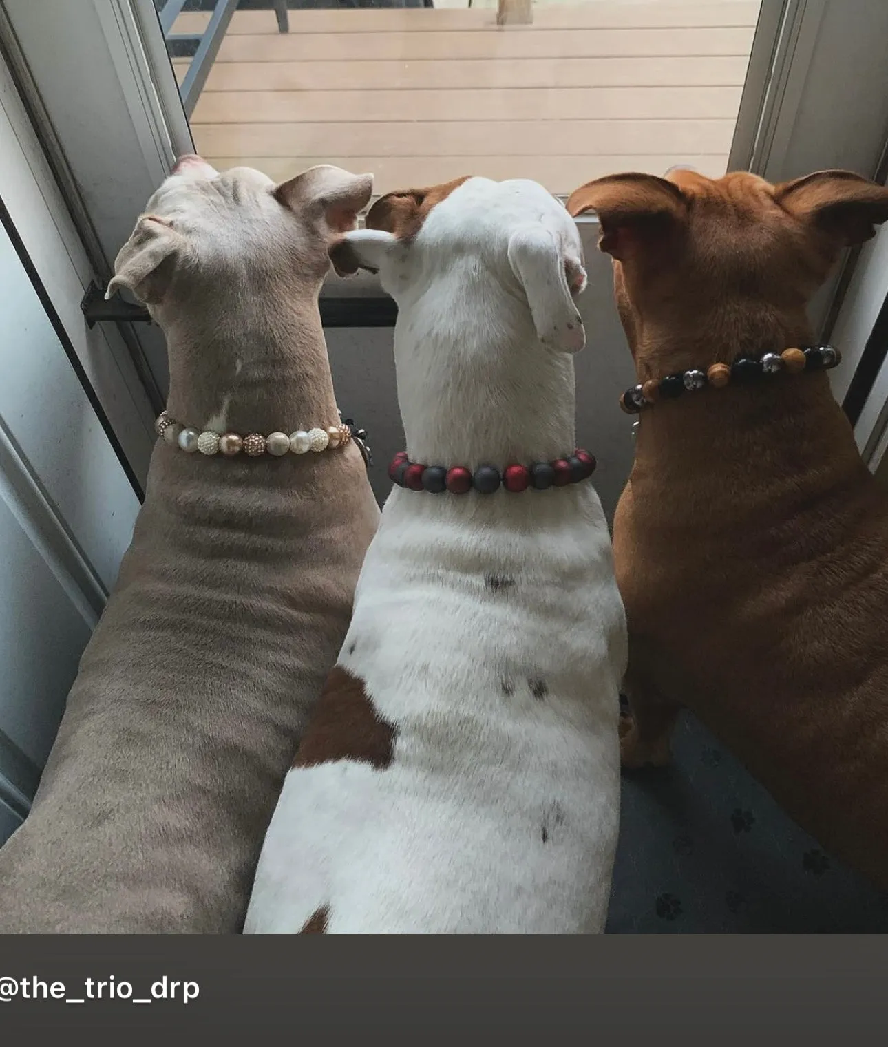 Rustic Steel Bead Collar