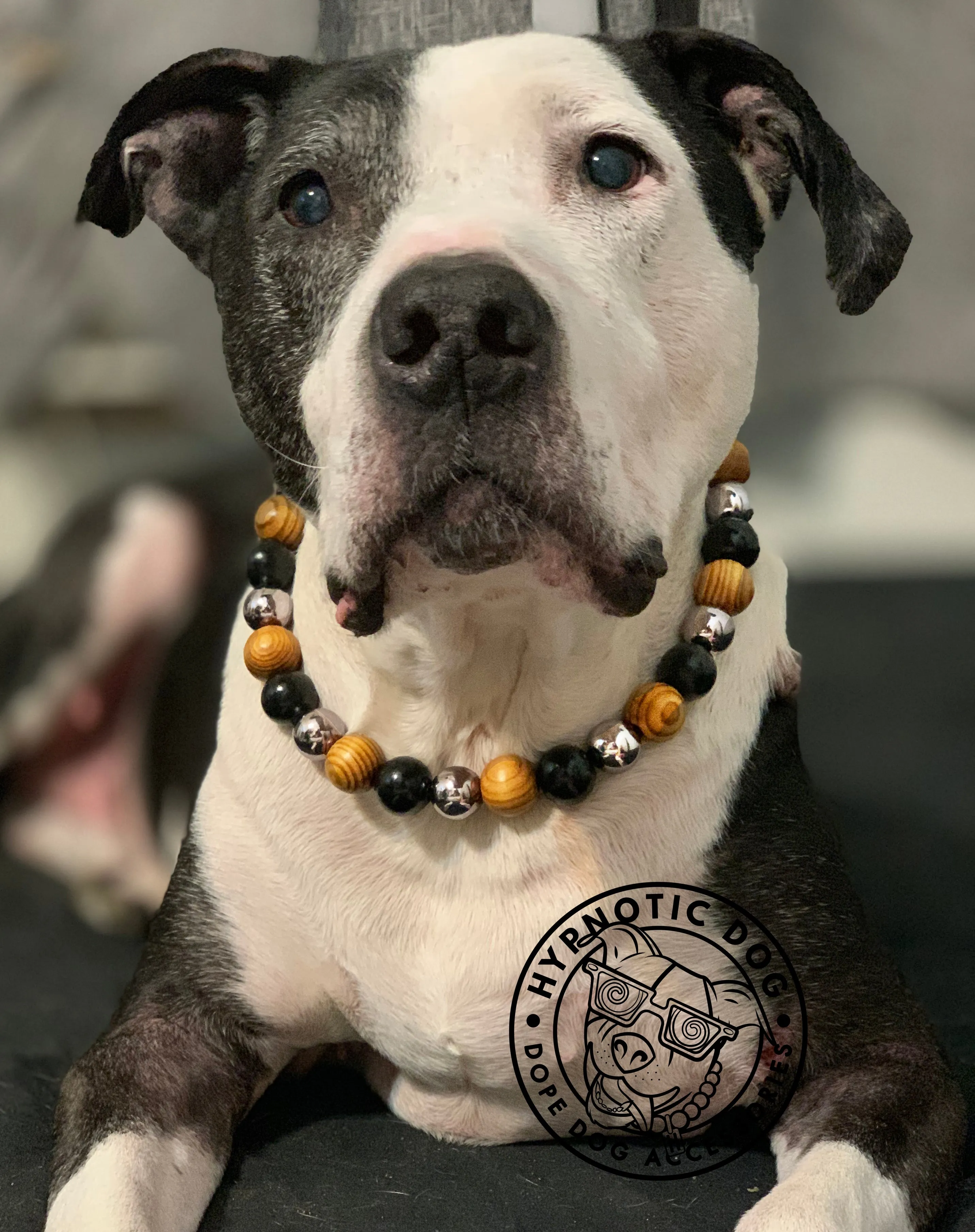 Rustic Steel Bead Collar