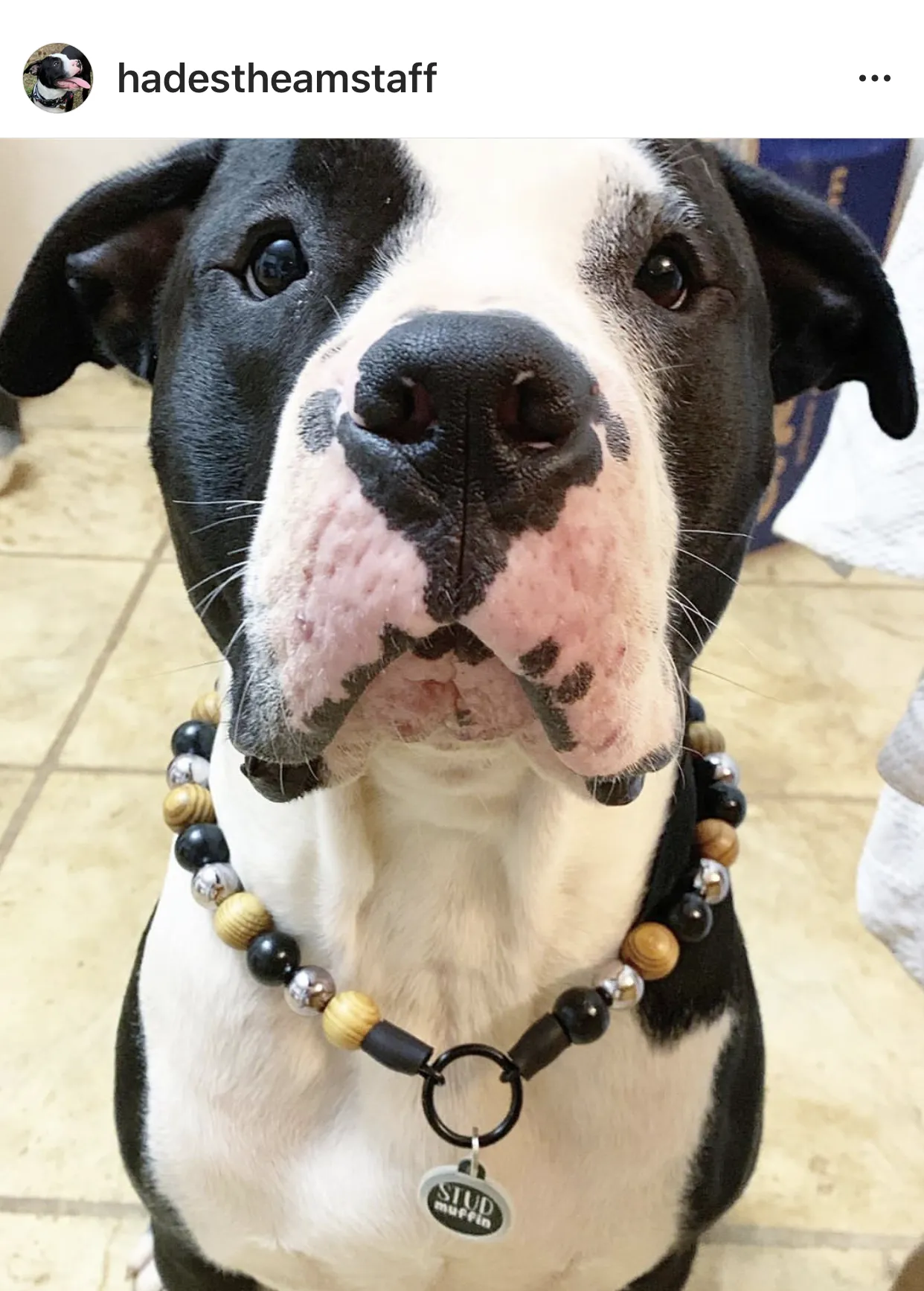 Rustic Steel Bead Collar