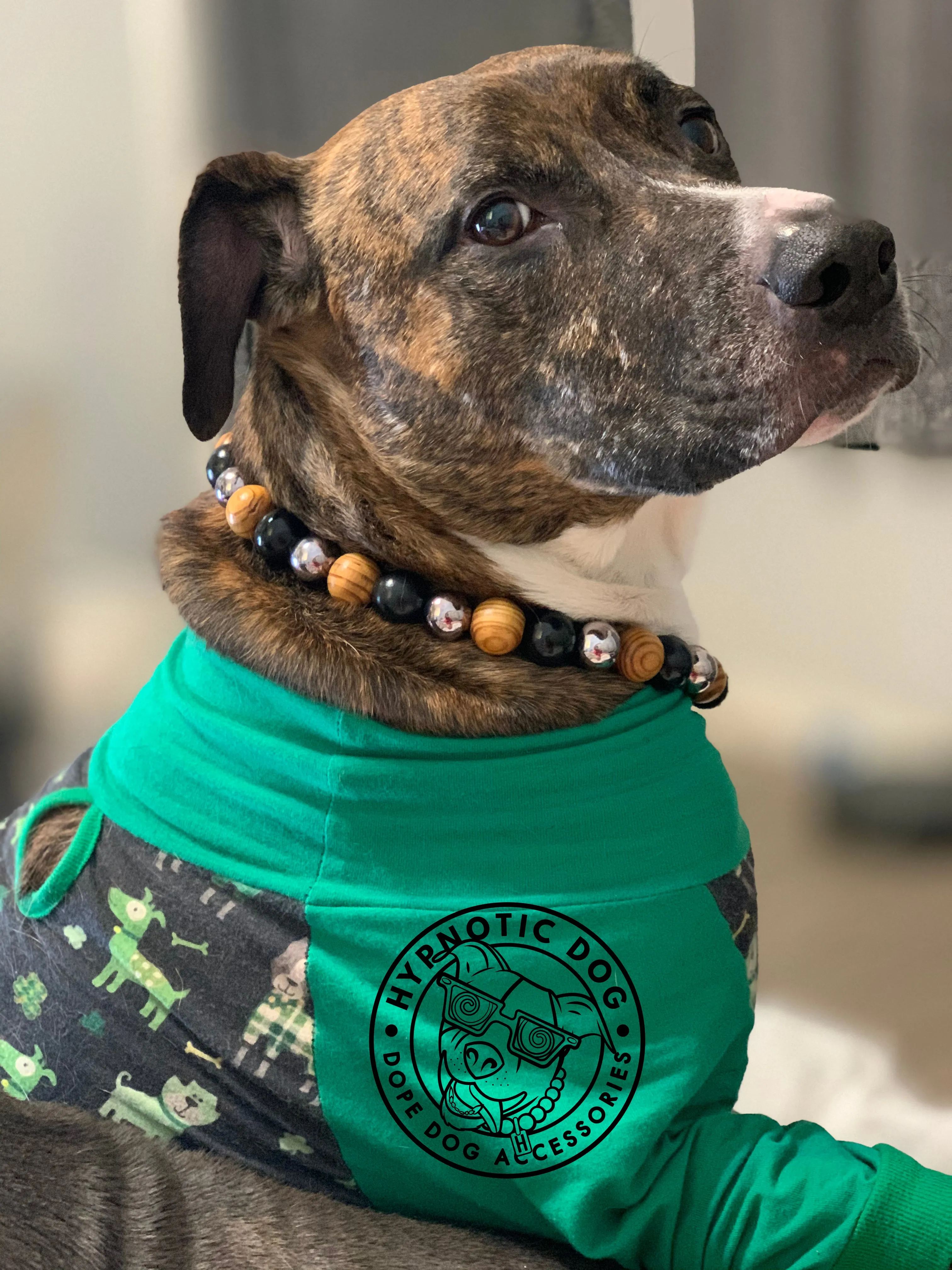 Rustic Steel Bead Collar