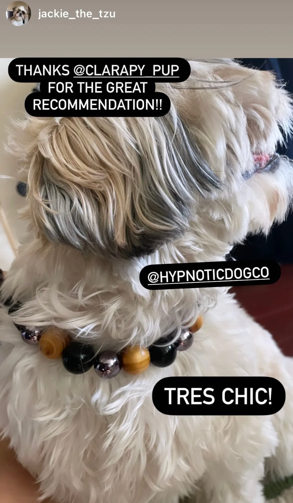 Rustic Steel Bead Collar