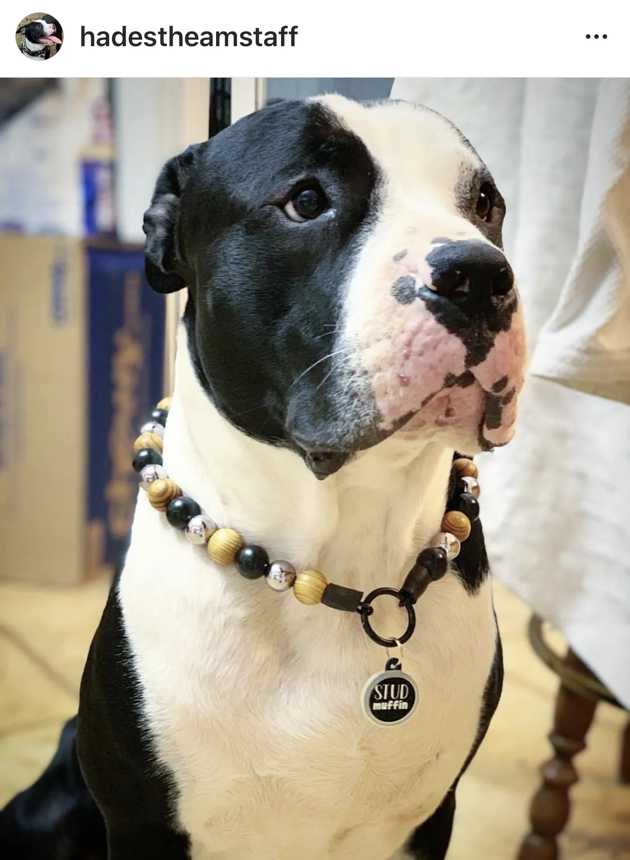 Rustic Steel Bead Collar