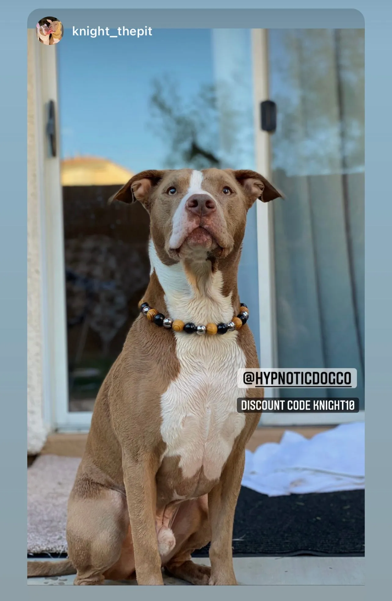 Rustic Steel Bead Collar