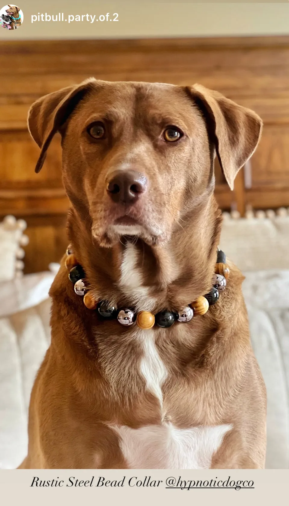 Rustic Steel Bead Collar