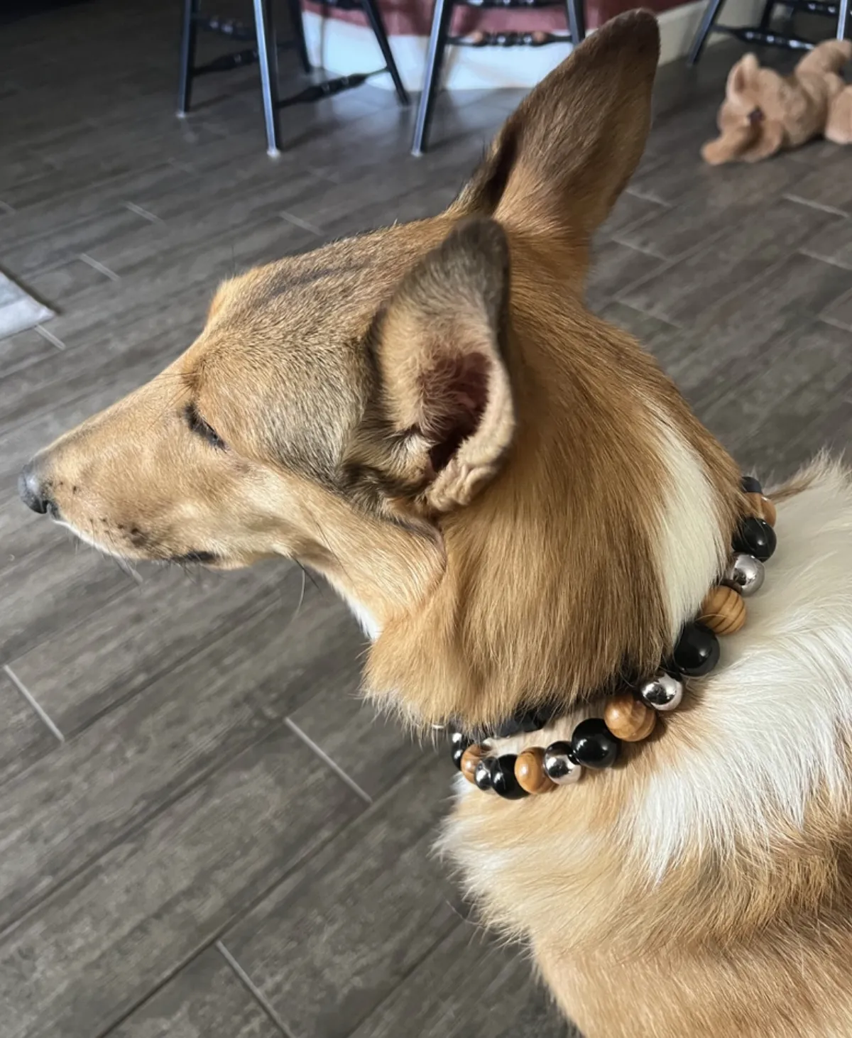 Rustic Steel Bead Collar
