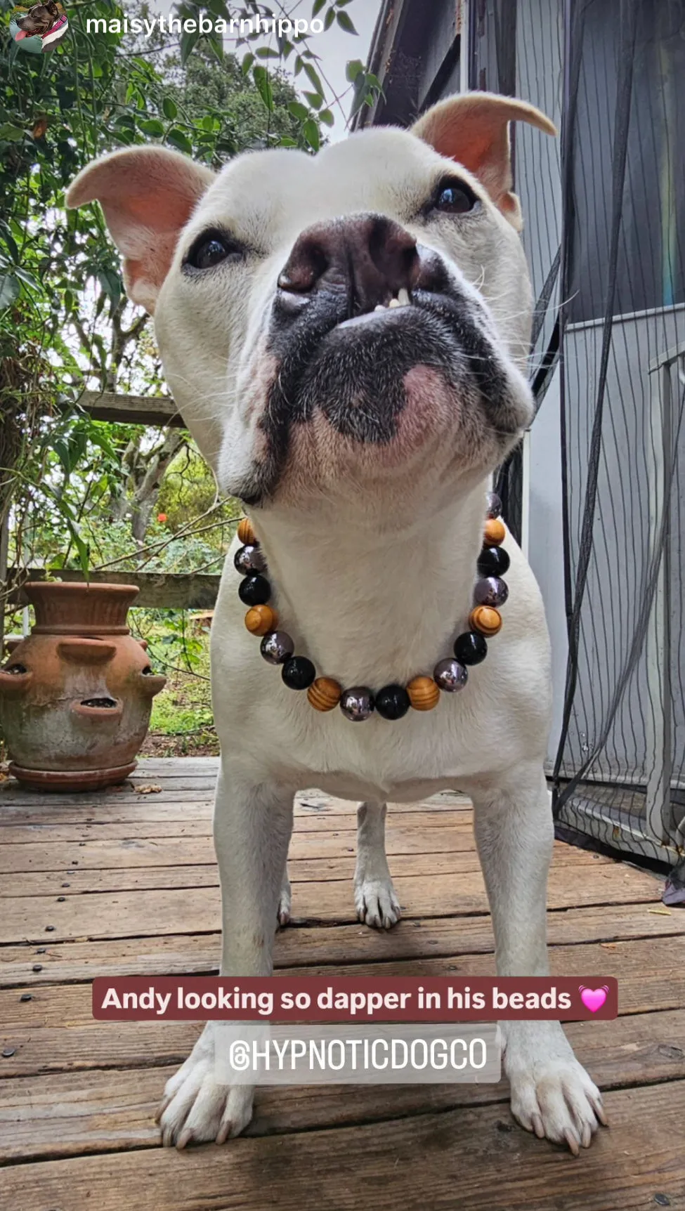 Rustic Steel Bead Collar