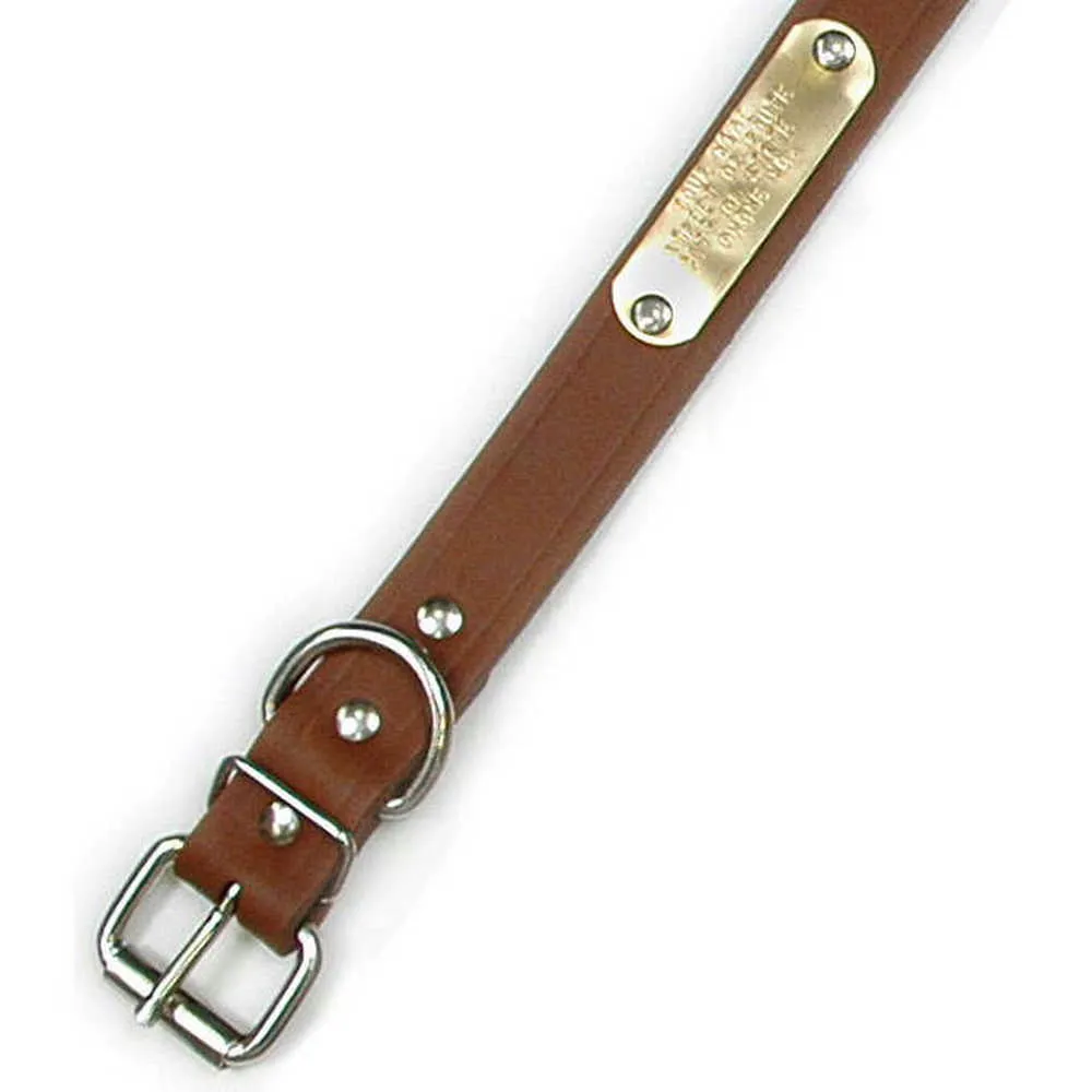 Single Ply 1" Wide Leather Dog Collar - Regular D-Ring - Style# 100