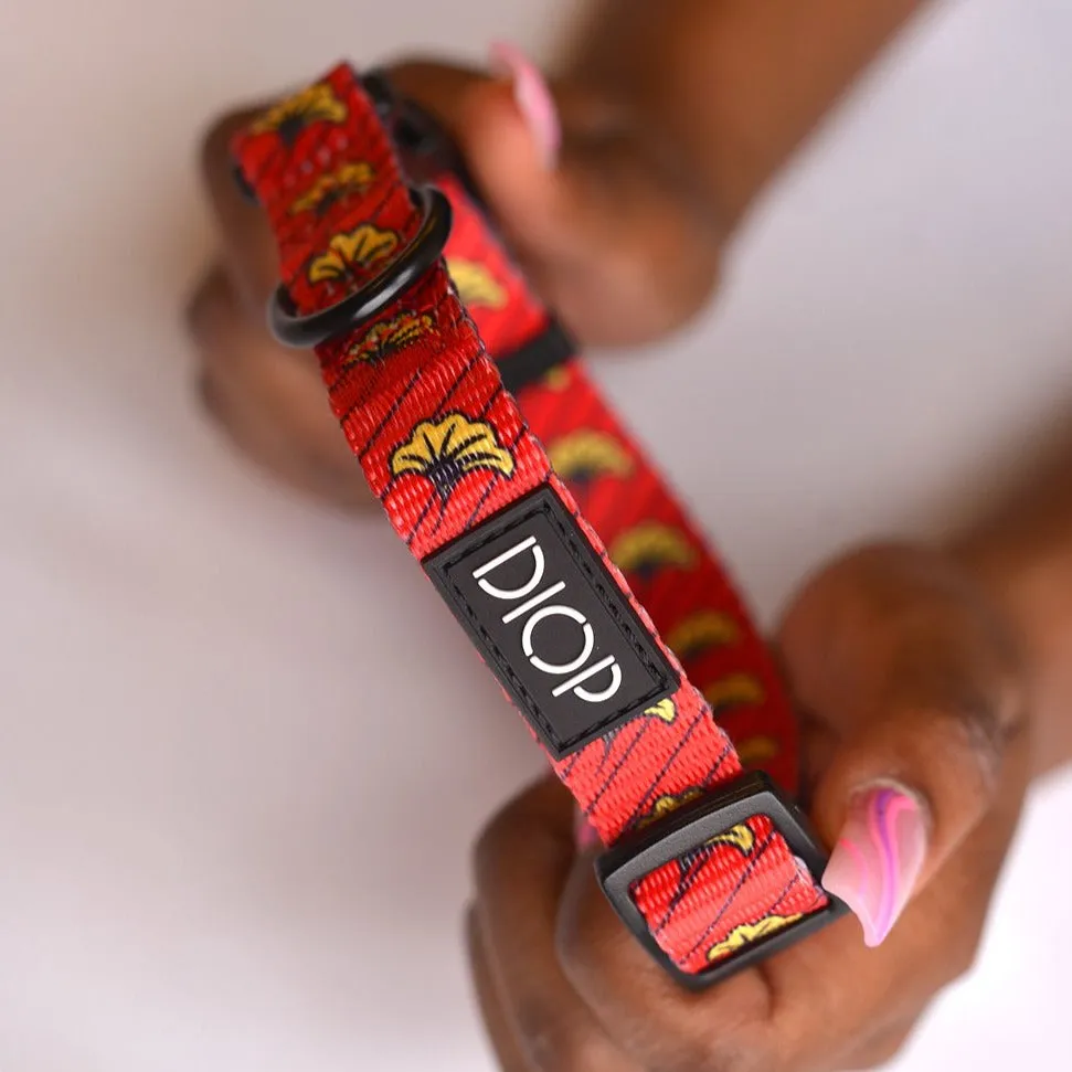 The Amar Dog Collar