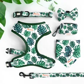 Wild Green Leafy - SET | Personalized
